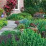 9 Xeriscape Plants for the Water-Wise Garden