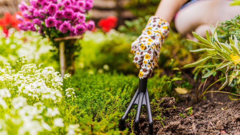 10 Spring Gardening Tasks You Should Do Right Now